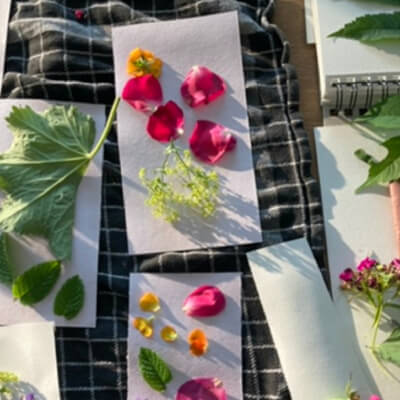 Bertels, Annemie Annemie Bertels